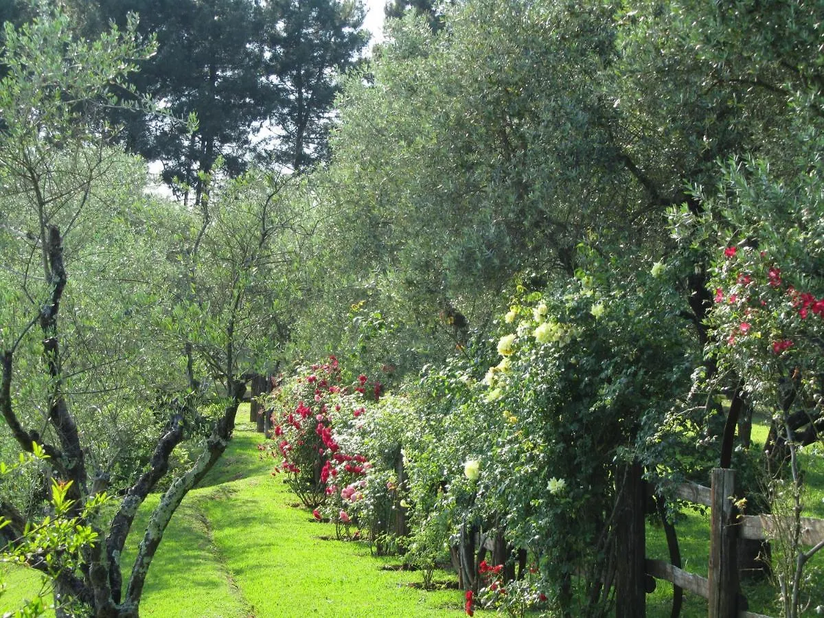 Villa Stefania Lucca Holiday home